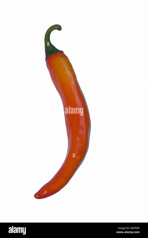 Korean Hot Pepper Stock Photo Alamy