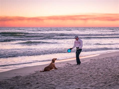 Boasts miles of pet friendly beaches to explore! 11 of the Best Pet-Friendly Beaches in Florida ...