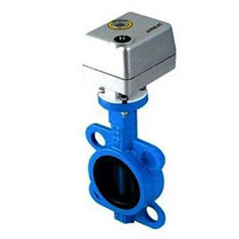 Hydraulic Stainless Steel Motorized Butterfly Valve At Rs 530 In