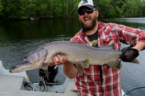 How To Catch Giant Northern Pike Meateater Fishing
