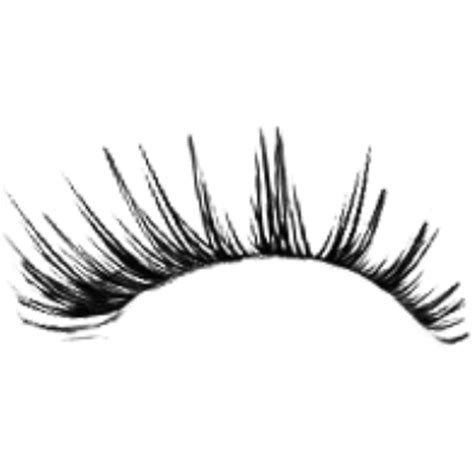 Eyelashes Png For Photoshop Png Image Collection