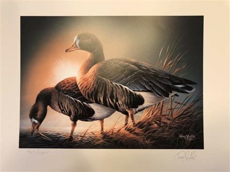 1985 Minnesota Duck Stamp Print By Terry Redlin Signed Stamp 2023069600