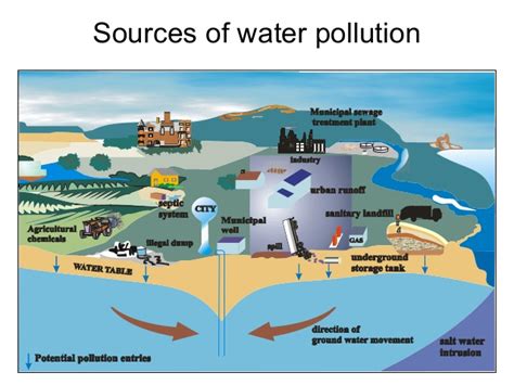 The artificial warming of water is called thermal pollution. Wiring And Diagram: Diagram Of Water Pollution