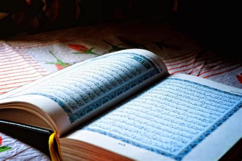 Ayo Mengaji Ramadhan Bacaan Surat Al Bayyinah Lengkap Dengan Arab Latin Dan Terjemahan