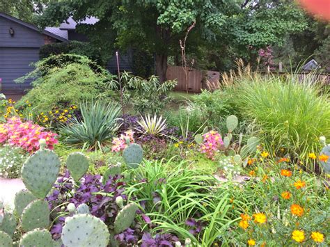 Oklahoma Native Plants Eco Landscaping