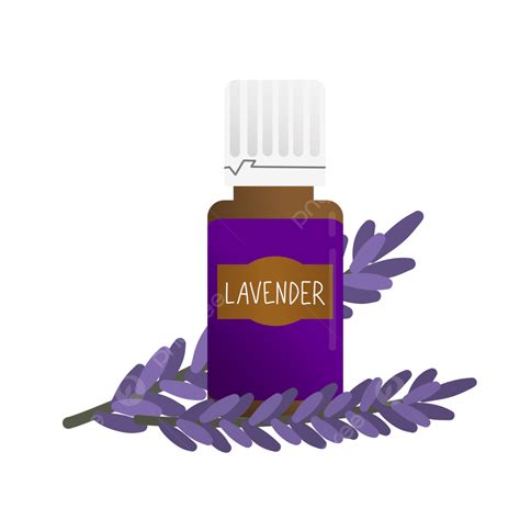Essential Oils Clipart PNG Images Lavender Essential Oil Illustration