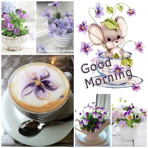 Good Morning Purple Flowers Moodcollage Guten Morgen Bilder Guten