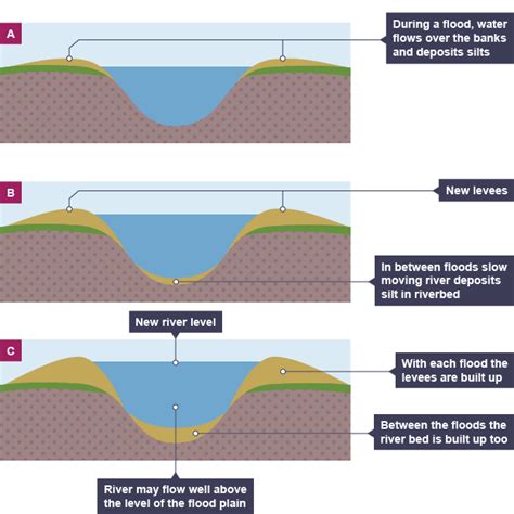 Levees What And Facts A Level Geography Revision Notes