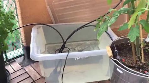 Automated Plant Watering Youtube