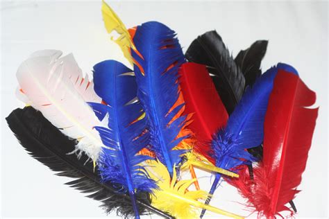 Eagle Indian feathers - Bagged feathers - Feathers & Boas