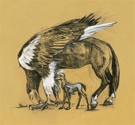 How To Draw A Hippogriff From Harry Potter