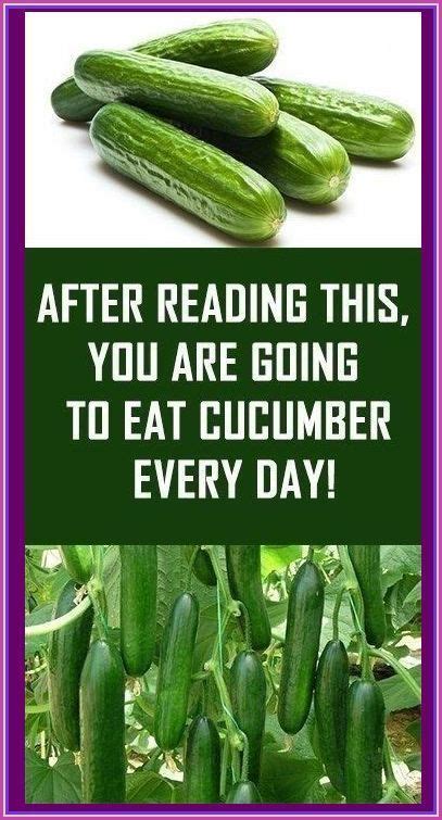 After You Read This You Are Going To Eat Cucumber Every Day Cucumber Canning Cucumber Recipes