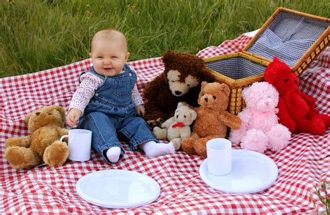 Teddy Bear Picnic Mini Sessions Steel The Moment Photography