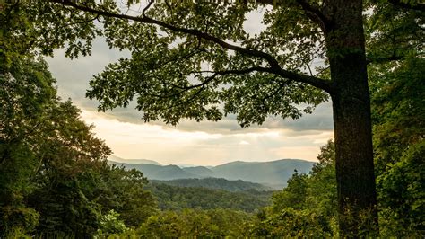 Bryson City Nc Vacation Rentals Cabin Rentals And More Vrbo