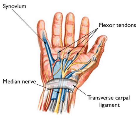 These Simple Acupressure Points Can Help Relieve Wrist Pain Nspirement