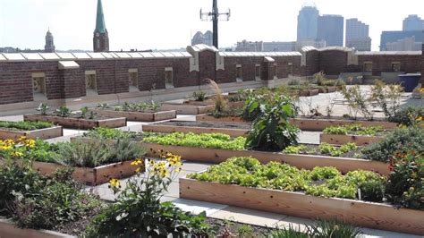 Rothenberg Rooftop Garden Project Of The Week 11314