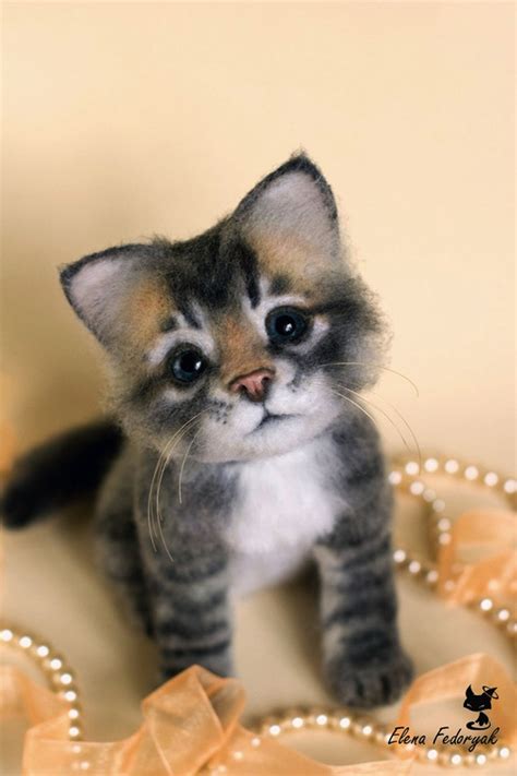 Too Cute Милые котики Детеныши животных Животные