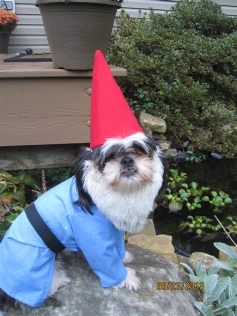 Custom Madeorder For Garden Gnome Dog Halloween Costume For Xsmall
