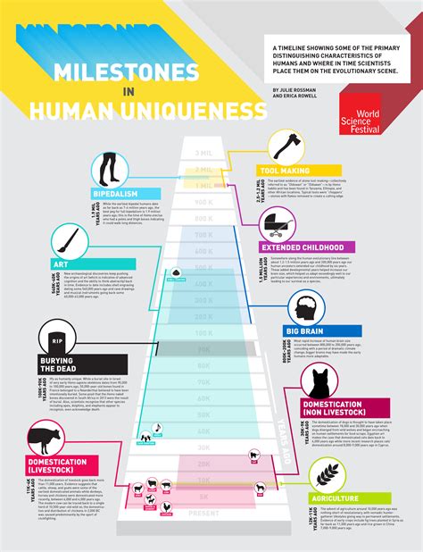 The Evolution Of Human Uniqueness In 1 Awesome Chart