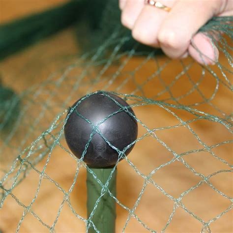 Garden Stake Balls - Gardening Supplies at Harrod ...