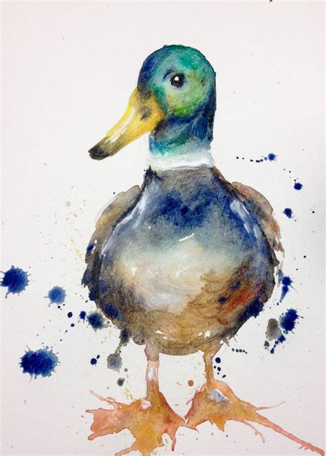Mallard Duck Watercolour Print Duck T Country Kitchen Original