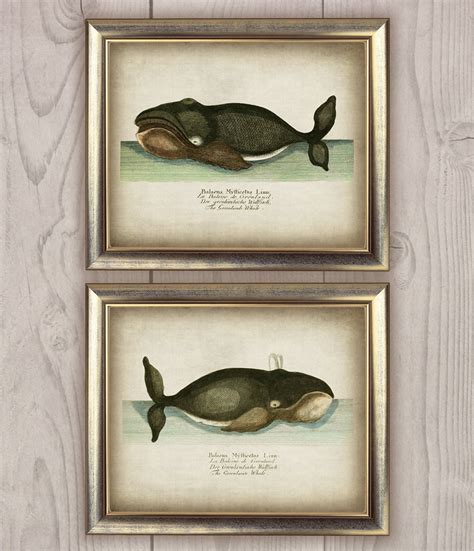 Printable Whale Print Set Of 2 Vintage Whales Art Prints Wall Etsy