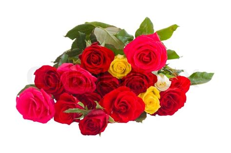 Bunch Of Roses Stock Image Colourbox