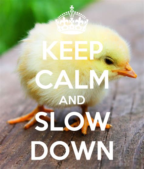 Keep Calm And Slow Down Keep Calm And Carry On Image