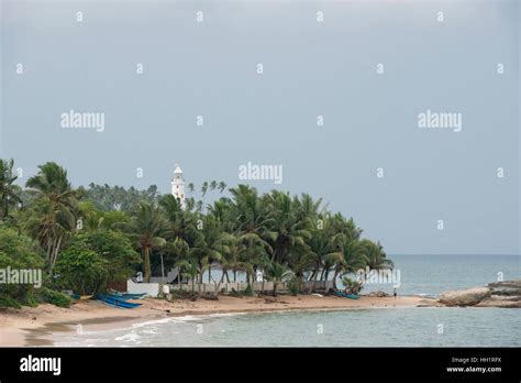 Lighthouse And Palm Lined Beach Beruwala Sri Lanka Stock Photo Alamy