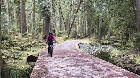 Biking The Carbon River Road In Mount Rainier National Park Youtube