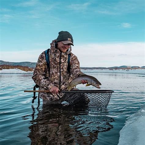 It shares these habitats with muskies, northern pike, yellow perch and bullheads. //THE DREAM LIVES ON// Trouts Denver's own @bluegillbill ...