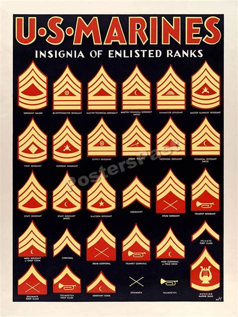 1940s Insignia Of Enlisted Ranks Wwii Marine Corps War Poster 20x28