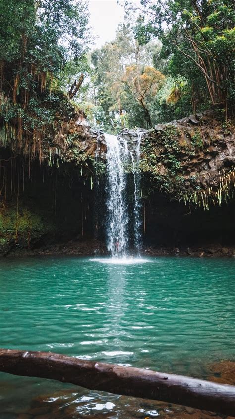 Twin Falls Maui Waterfall Fun Life Crisis