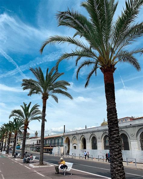 Palm Tree Obsessed 🤷🏻‍♀️🌴 Visszamennek Palmtrees Nice France Travelgram