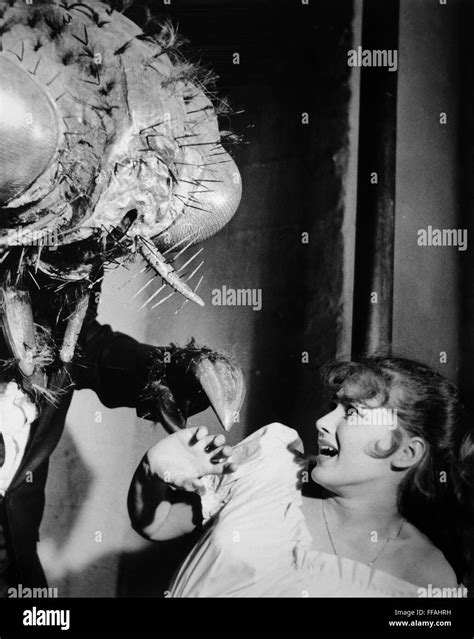 Film The Fly 1958 Nfilm Still From The Fly 1958 Stock Photo Alamy