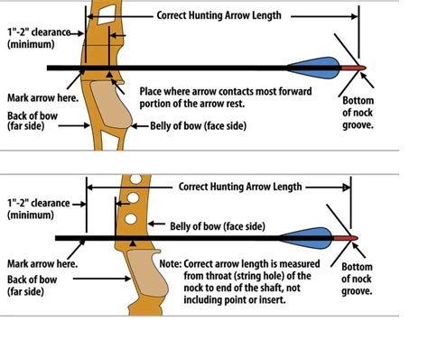 How To Determine Arrow Length For Bow This Will Better Equip You To