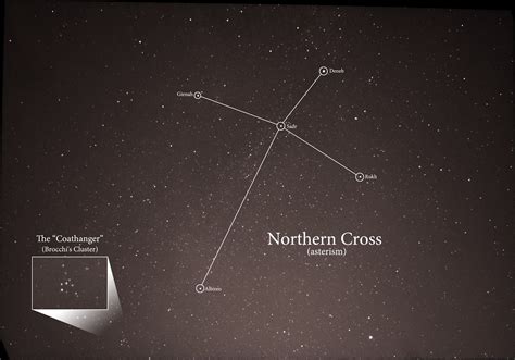 The Coathanger And Northern Cross Asterisms Stellar Neophyte