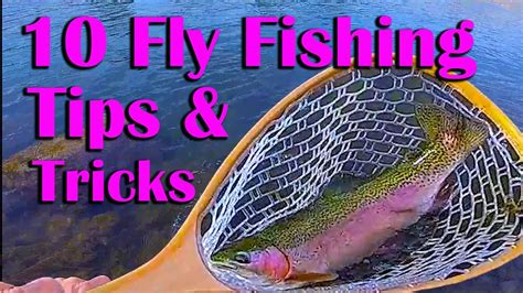 10 Fly Fishing Tips To Catch More Fish Tips And Tricks Fishing