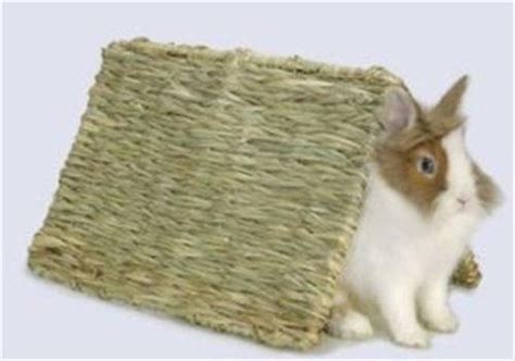 Make Your Own Homemade Rabbit Toys Rabbit Toys Rabbit Treats