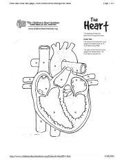 Heart Diagram Blank Pdf Course Hero