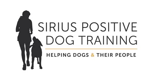 Does Positive Dog Training Work