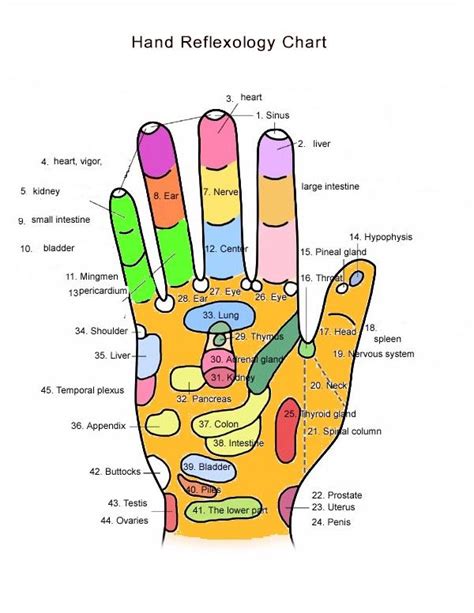 Hand Reflexology Acupuncture Acupressure Therapy Acupressure