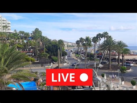 Live Gran Canaria Playa Del Ingles Anexo December Christmas