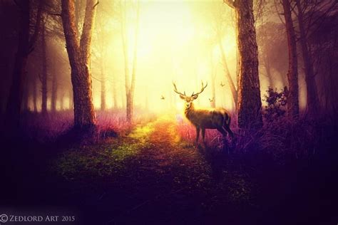 Deer In The Forest Forest Fantasy Abstract Deer Hd Wallpaper Peakpx
