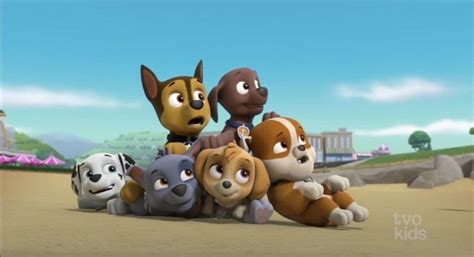 Pile Of Pups By Connorneedham On Deviantart Paw Patrol Pups Paw Patrol Characters Chase Paw