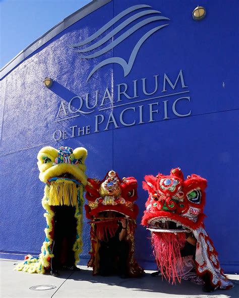 Archived Autumn Festival Events Aquarium Of The Pacific