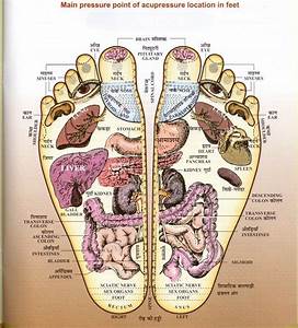 Good Food Stuff Reflexology Foot Chart Reflexology Foot