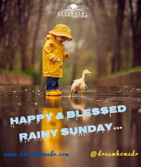 Happy And Blessed Raining Sunday Distinguished And Dears Followers