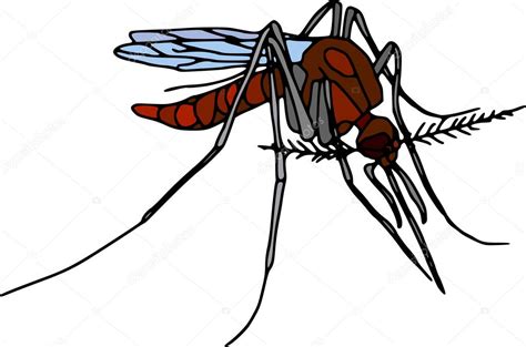 Mosquito — Stock Vector © Pavelmidi 2346923