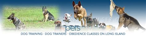 Long Island Dog Training Canine Training Obedience Classes Nassau Suffolk